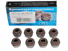 245-1007026-01 (2108-1007026) Uszczelnienie trzpienia zaworu FPM, zestaw 8 szt.